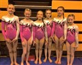 Fyrish gymnasts have strength in depth as largest ever team hits road