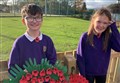 PICTURES: Ross primary school's garden of remembrance put to good use 
