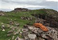 Ancient broch site hit by theft