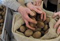 Spuds you like and more in store at Black Isle tattie day 