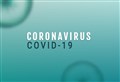 81 new coronavirus cases detected