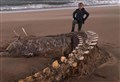 UPDATE: Public has its say on 'Nessie skeleton' speculation in vote