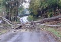 Warning over fallen trees as Storm Arwen takes it toll