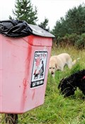 Council cries foul over Ross dog mess