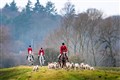 Hundreds of suspected illegal fox hunts took place in UK over month, group says
