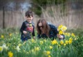 Foulis Castle daffodil tea fundraiser to boost Ukraine relief effort as Easter Ross family's poignant tradition continues 