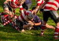 Rugby matches banned for two weeks due to coronavirus pandemic
