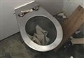 Anger after vandals trash community toilets