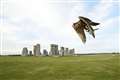 Falcons return to Stonehenge with public displays