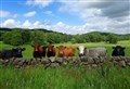 Tree initiative looking for host farmers and crofters 