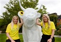 Coo blimey! Your chance to create a unique design for special Highland Hospice trail