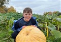 Giant pumpkin promises plenty of fun for Halloween 