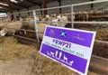 Rural workers' online demo calls on Scottish Government to listen