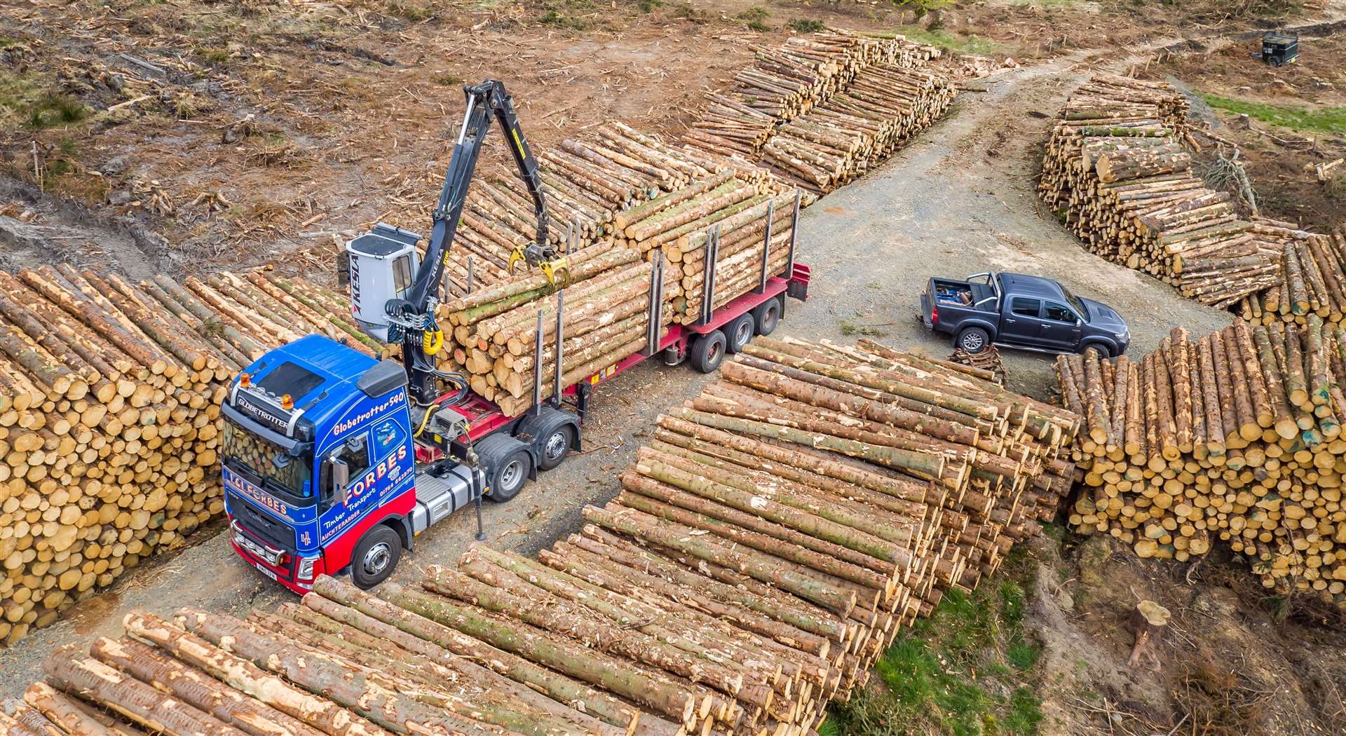 The timber sector supports thousands of jobs and helps inject millions into the Scottish economy.