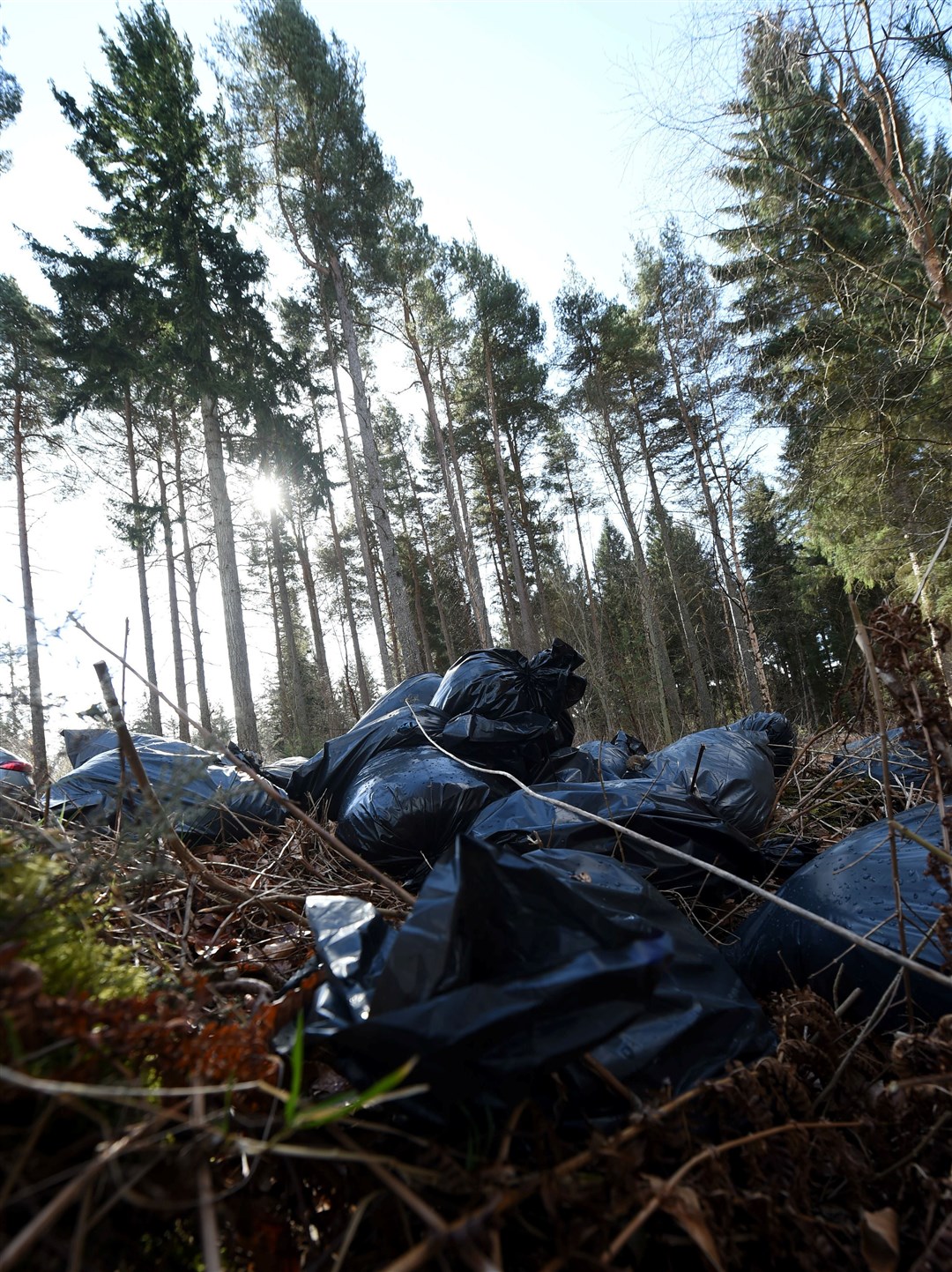 Fly-tipping at the Clootie Well near Munlochy on the Black Isle.