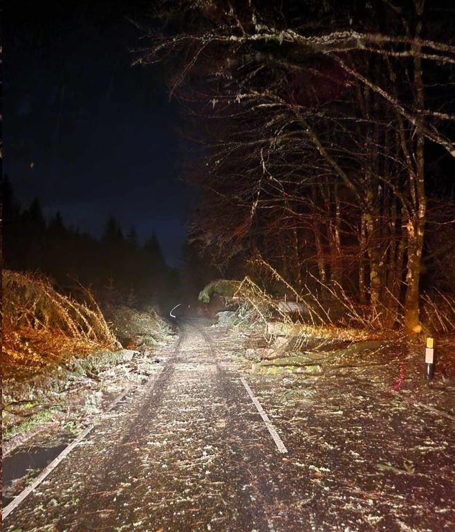 Just some of the tree falls reported along the A82. Picture: Bear Scotland.