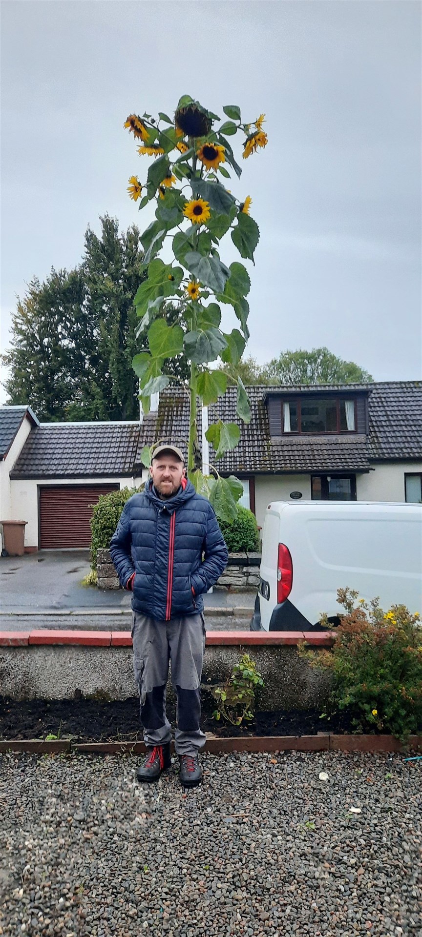 Martin Maclennan with his flourishing sunflower.