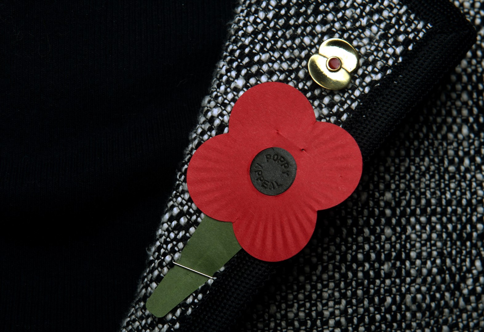 The badge made from a World War I shell alongside a traditional Remembrance poppy. Picture: James Mackenzie.