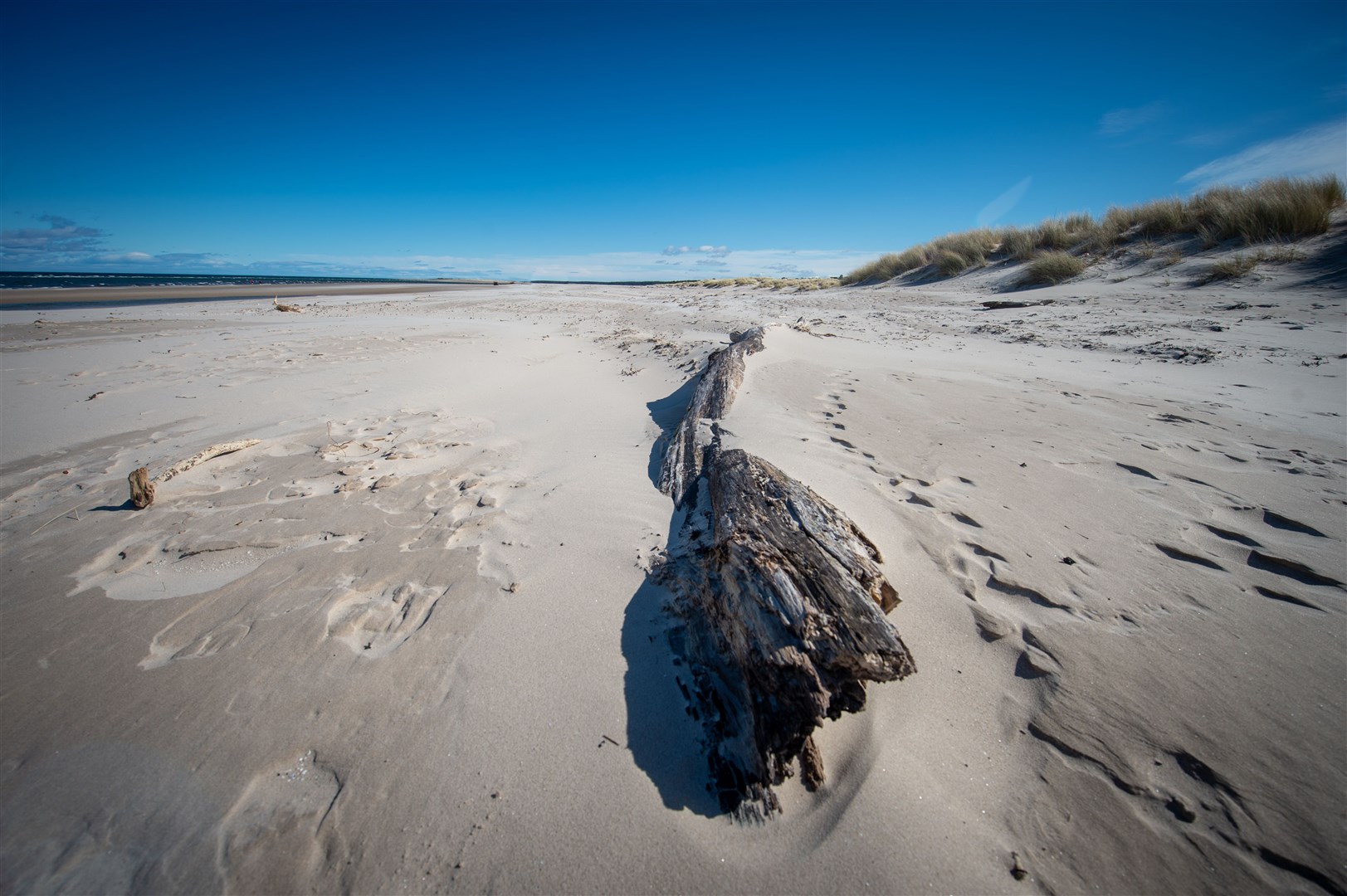 The dunes at Nairn Beach. Picture: Callum Mackay..