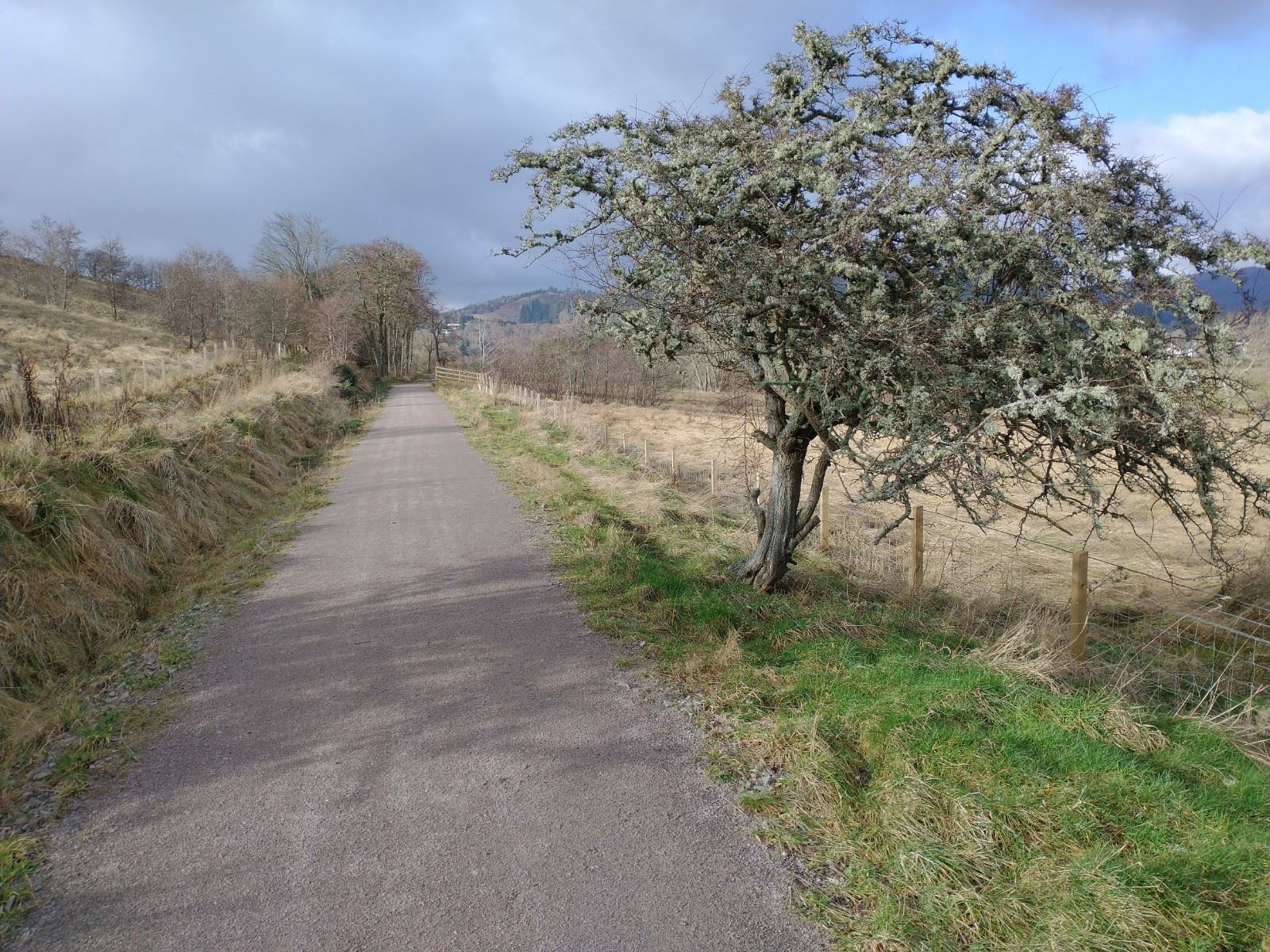 A stretch of the Peffery Way linking Strathpeffer and Dingwall off road.