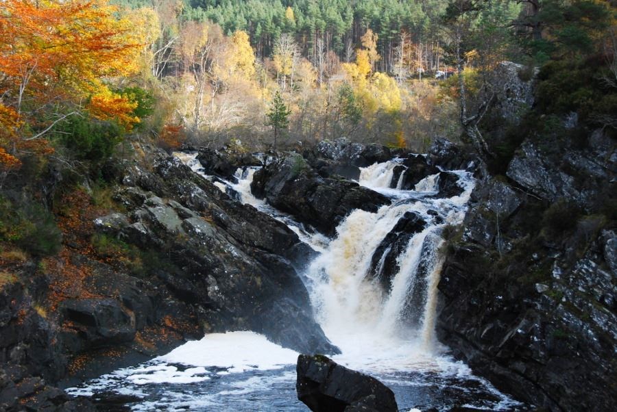 Rogie Falls are a popular beauty spot in Ross-shire.