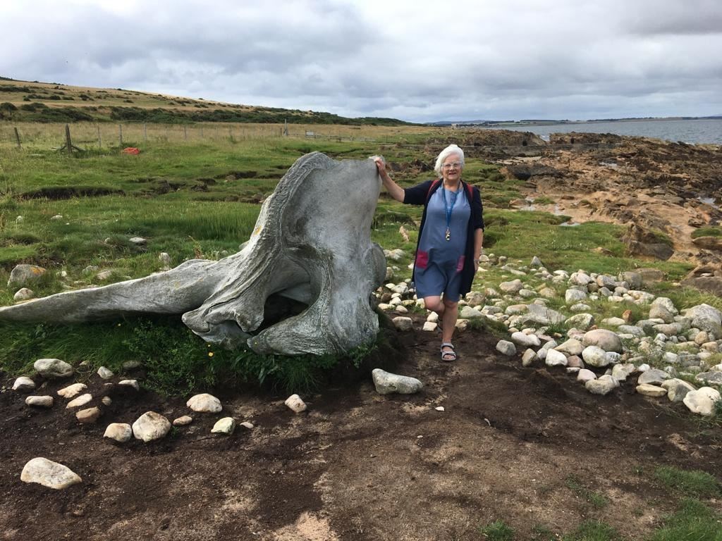 Rosie Mackenzie at the site with the sperm whale skull.