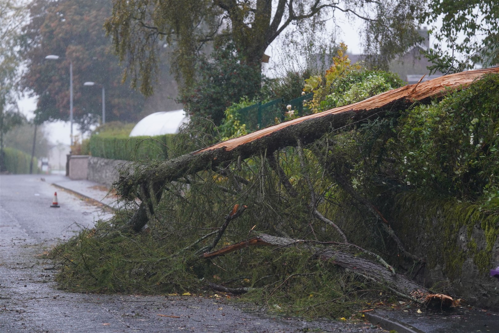 Heavy wind and rain downed trees across the country (Andrew Milligan/PA)