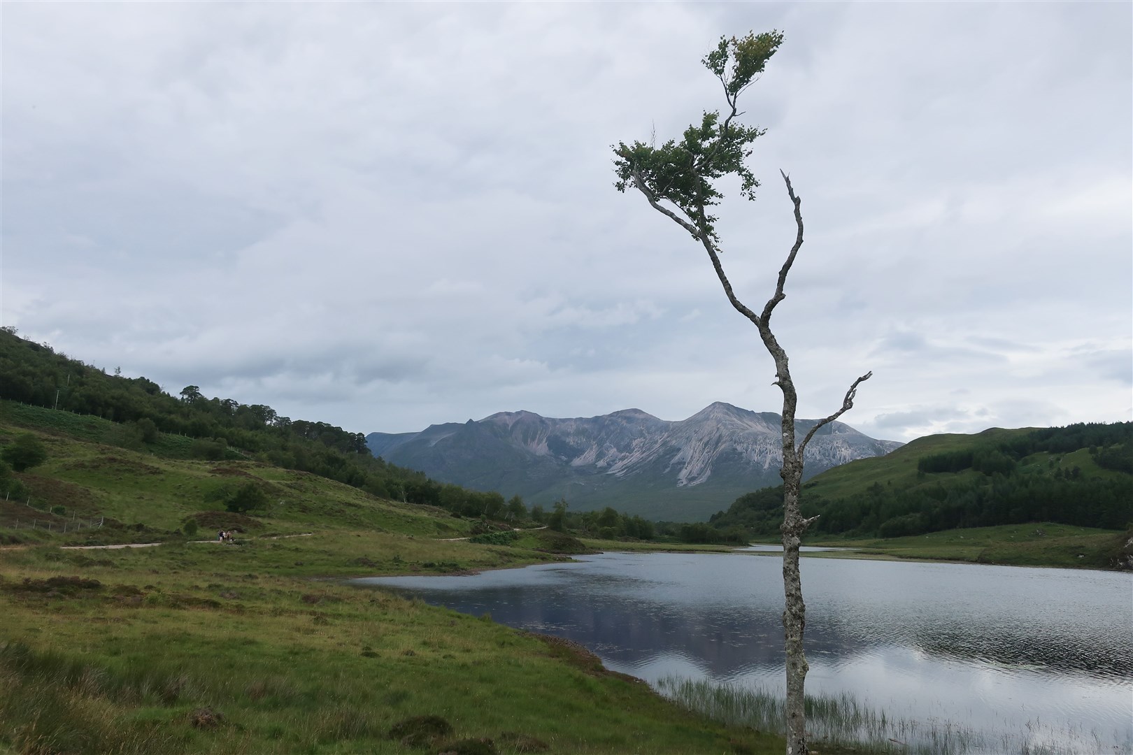 Access rangers were active across the Wester Ross area this summer.