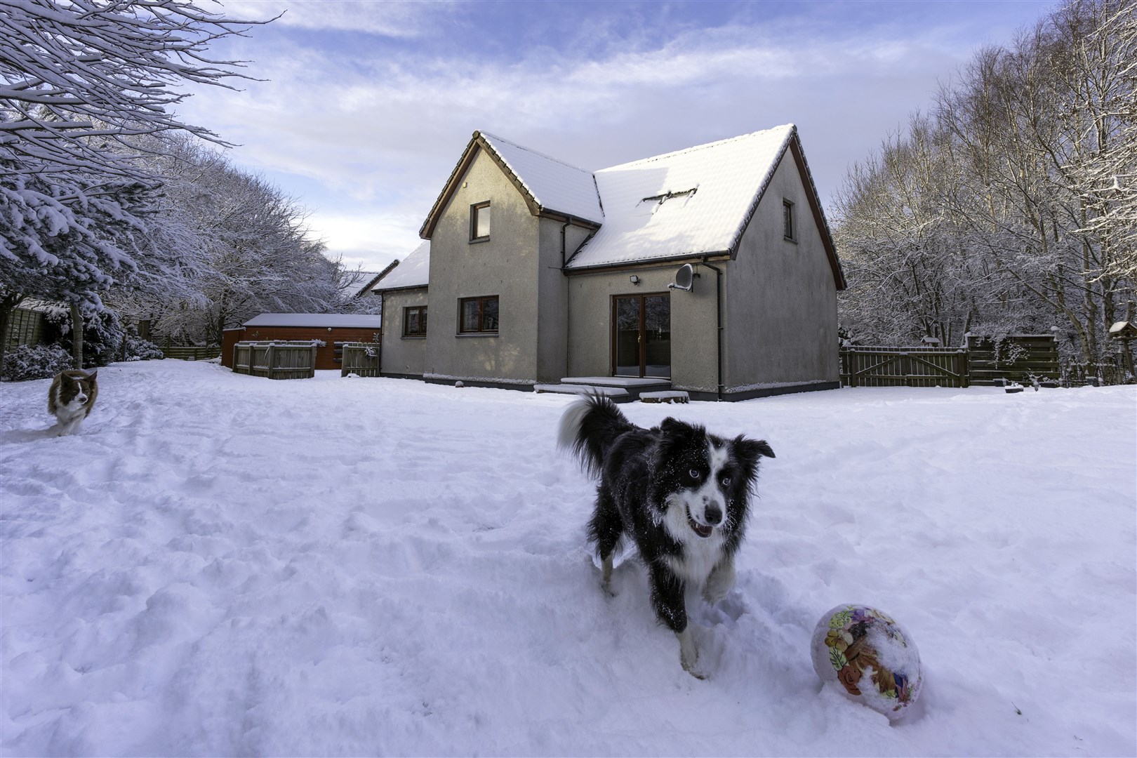 Having so much fun playing in the snow were Sam and Caley enjoying a game of football at home in Kildary. The happy picture was shared by Alan Simpson.