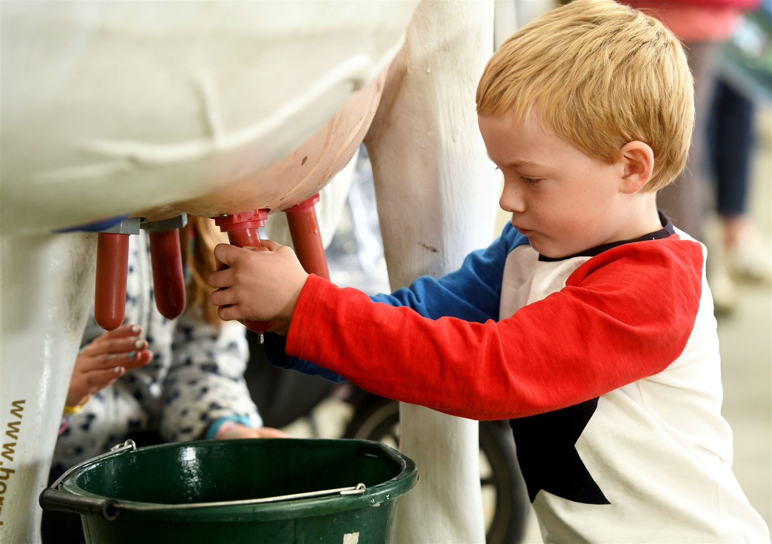 Struan Miller milking a model cow. Picture: James Mackenzie.