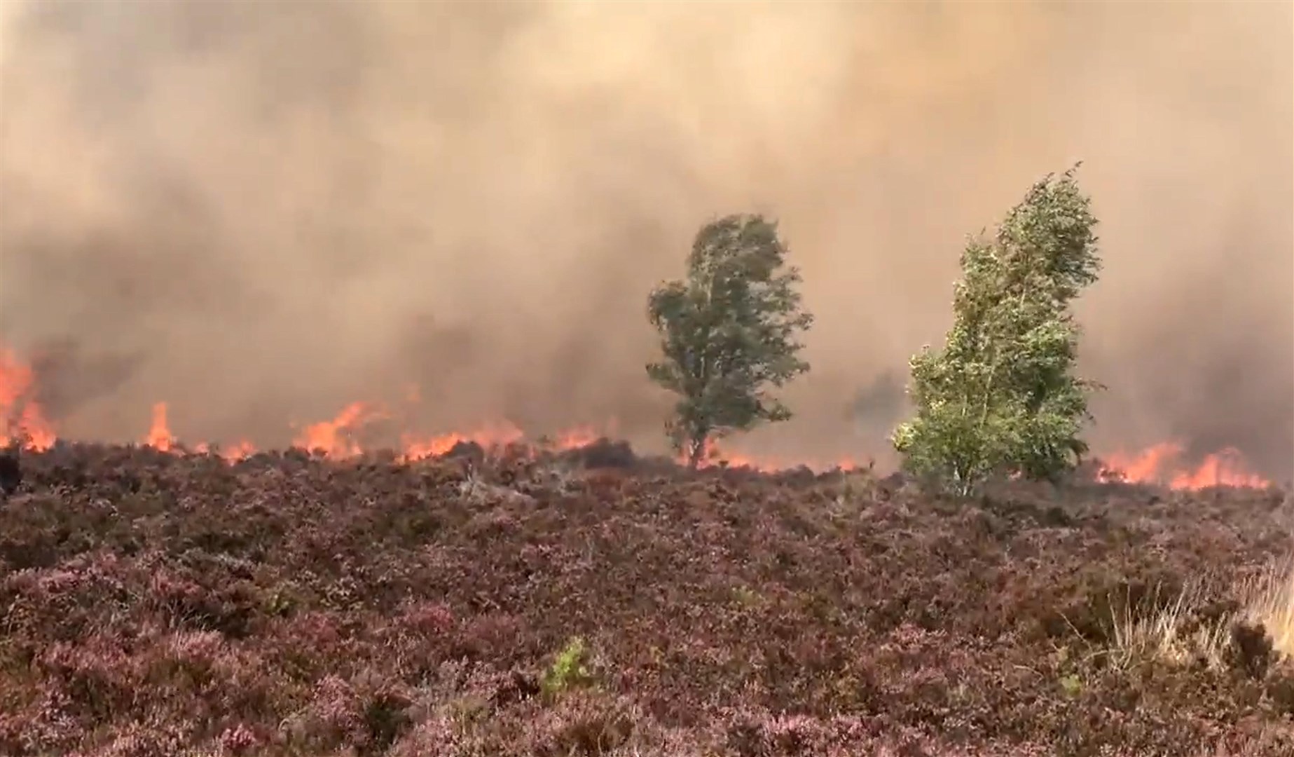 The blaze at Hankley Common in Surrey (Alan Johnson/Twitter/PA)