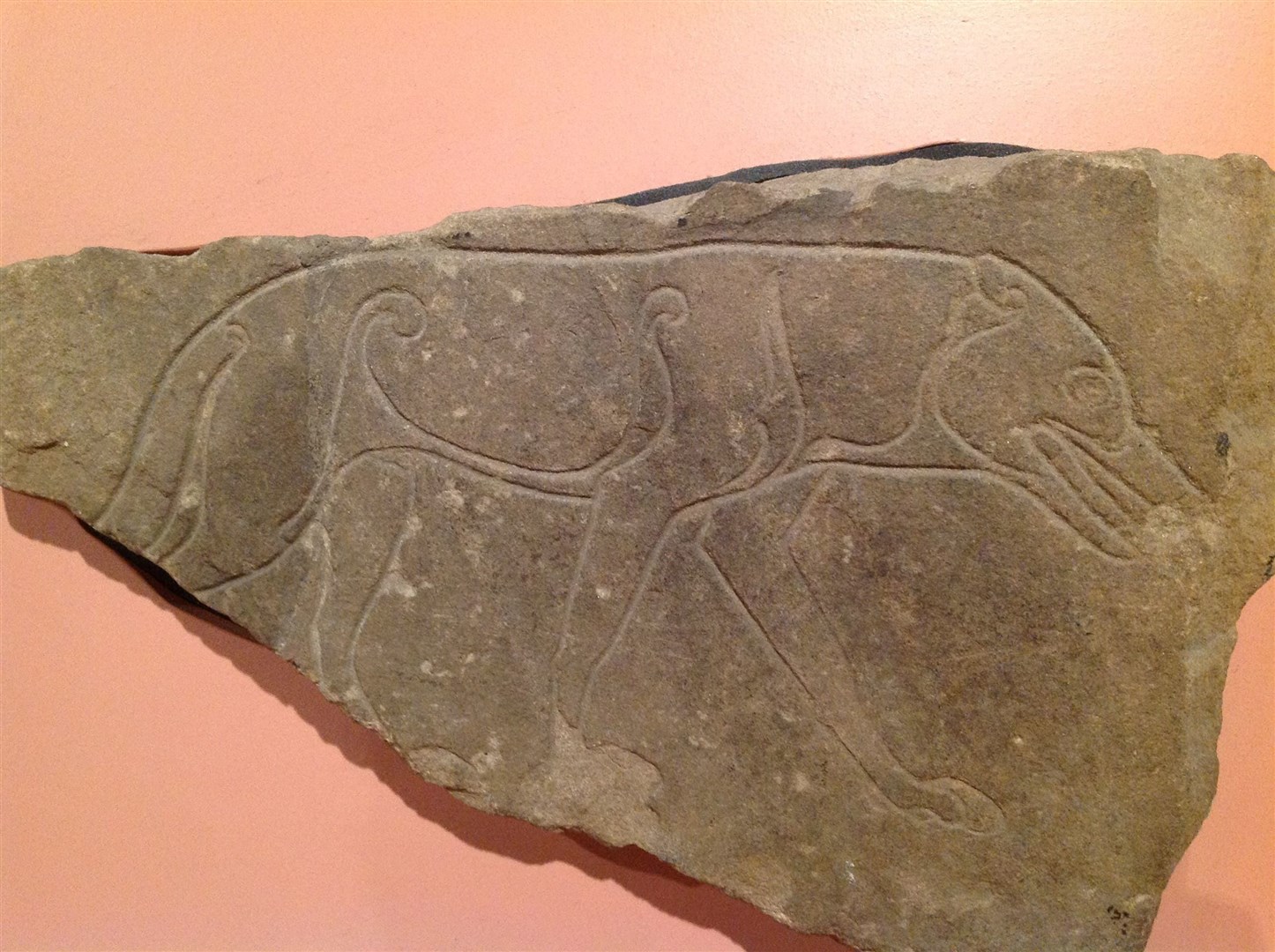 A piece of Pictish art, known as the Ardross Wolf Stone, is an important part of the area's rich heritage.