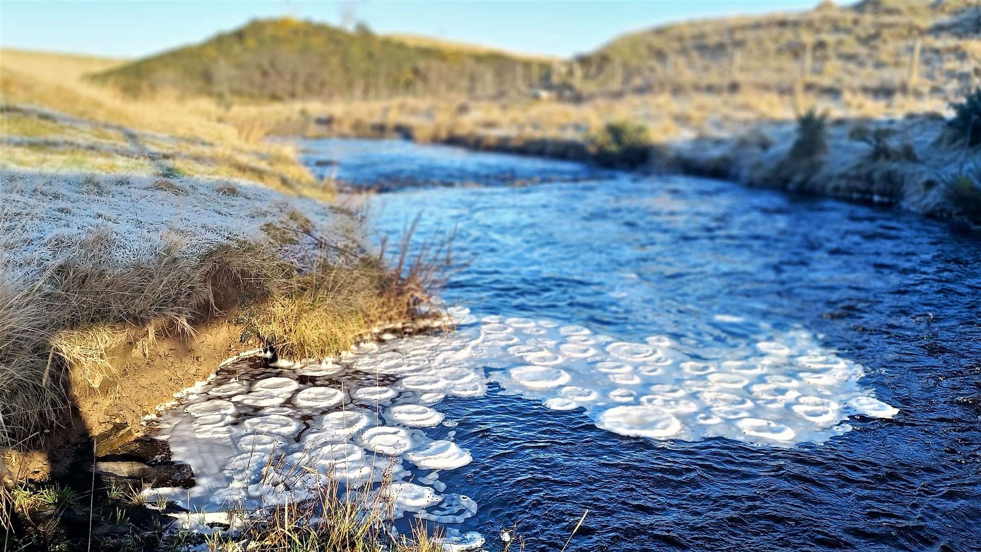 Ice disks on Scouthal Burn near Watten.  Photos: DGS
