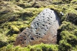 One of the 28 stones on Swordale Hill which bear Bronze Age cupmarks