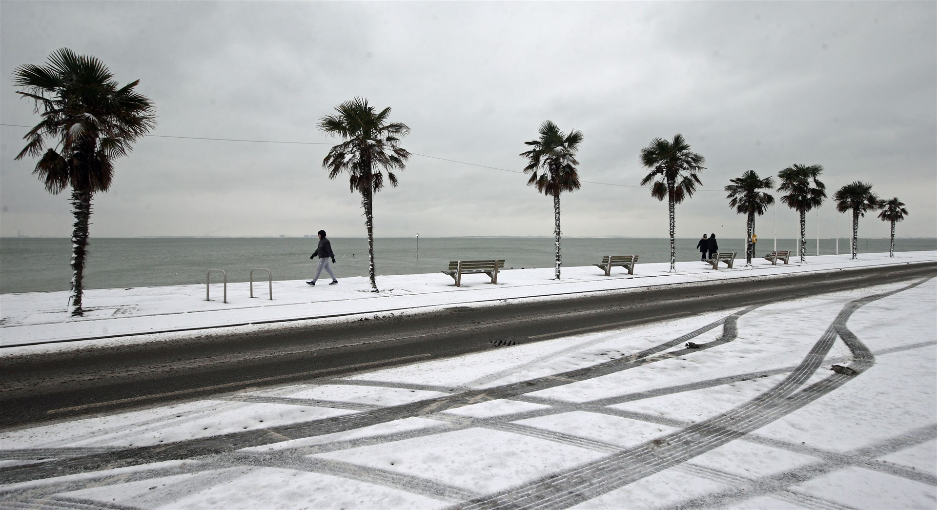 Palm trees on the snow-covered seafront at Southend-on-Sea in Essex (Yui Mok/PA)