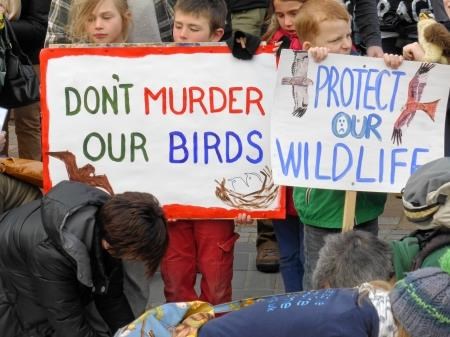 The raptor poisonings on the Black Isle caused public outrage and a rally was held in Inverness.