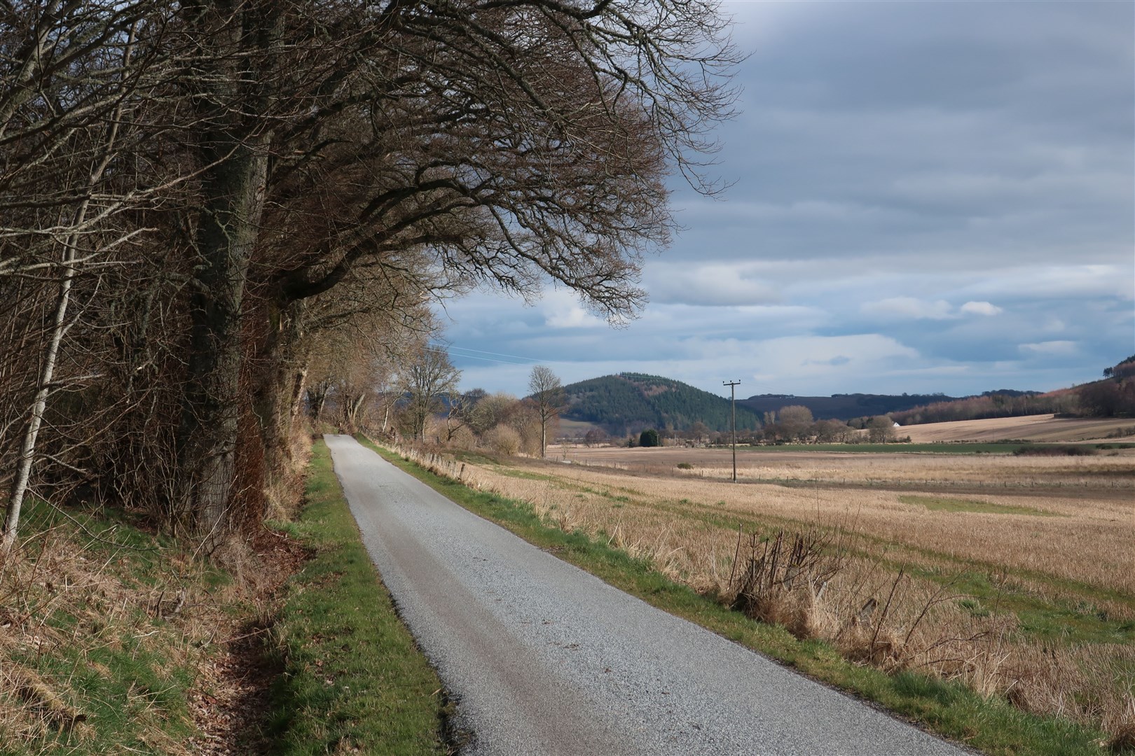 The National Cycle Network uses quiet roads especially in rural areas such as this section of Route 1 on the Black Isle.