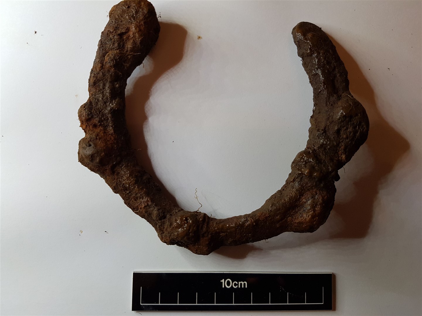 A horse shoe that is either related to the battle or agriculture.