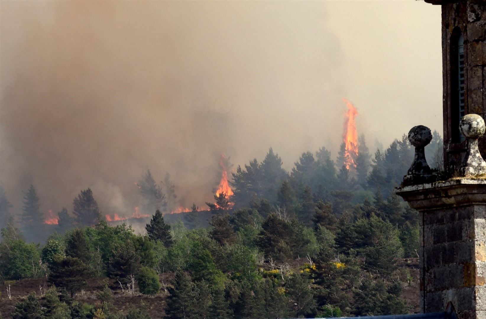 Flames above the trees at the recent Daviot wildfire.