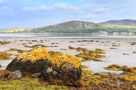 SNH and Police say it's an offence to pick shellfish in the Loch Fleet Nature Reseve. Picture: Lorne Gill - SNH.