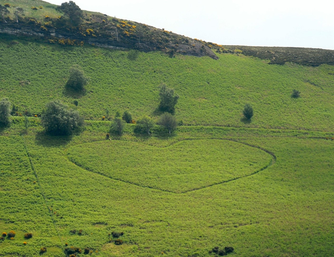 Neil MacDonald Hospice heart walk fundraiser..The heart Neil has cut and flattened into the hillside west of Knockfarrel Vitrified Fort..Picture: Gary Anthony..