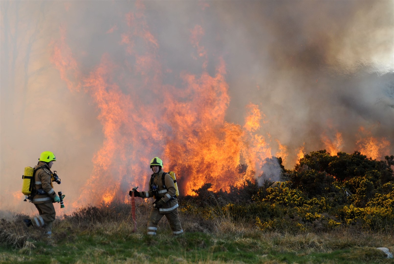 Firefighters at a Highland wildfire (file image). Picture: Gary Anthony.