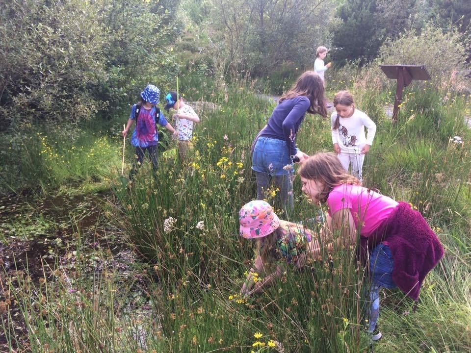 Young naturalists at Laide exploring the pond life.