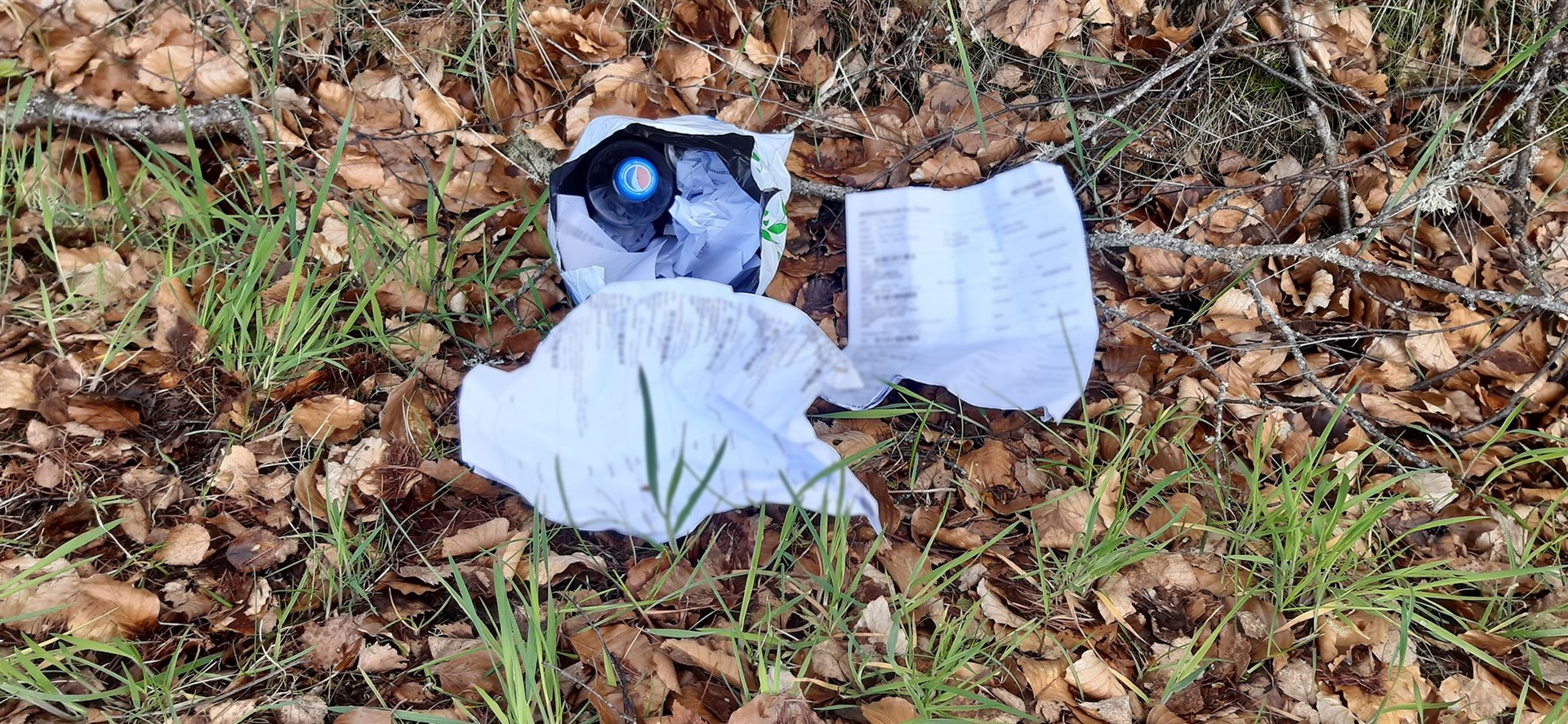 Personal details of people in Easter Ross were found discarded at the side of the road.