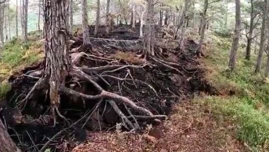 Some of the damage caused by a campfire in Beinn Eighe National Nature Reserve last year.