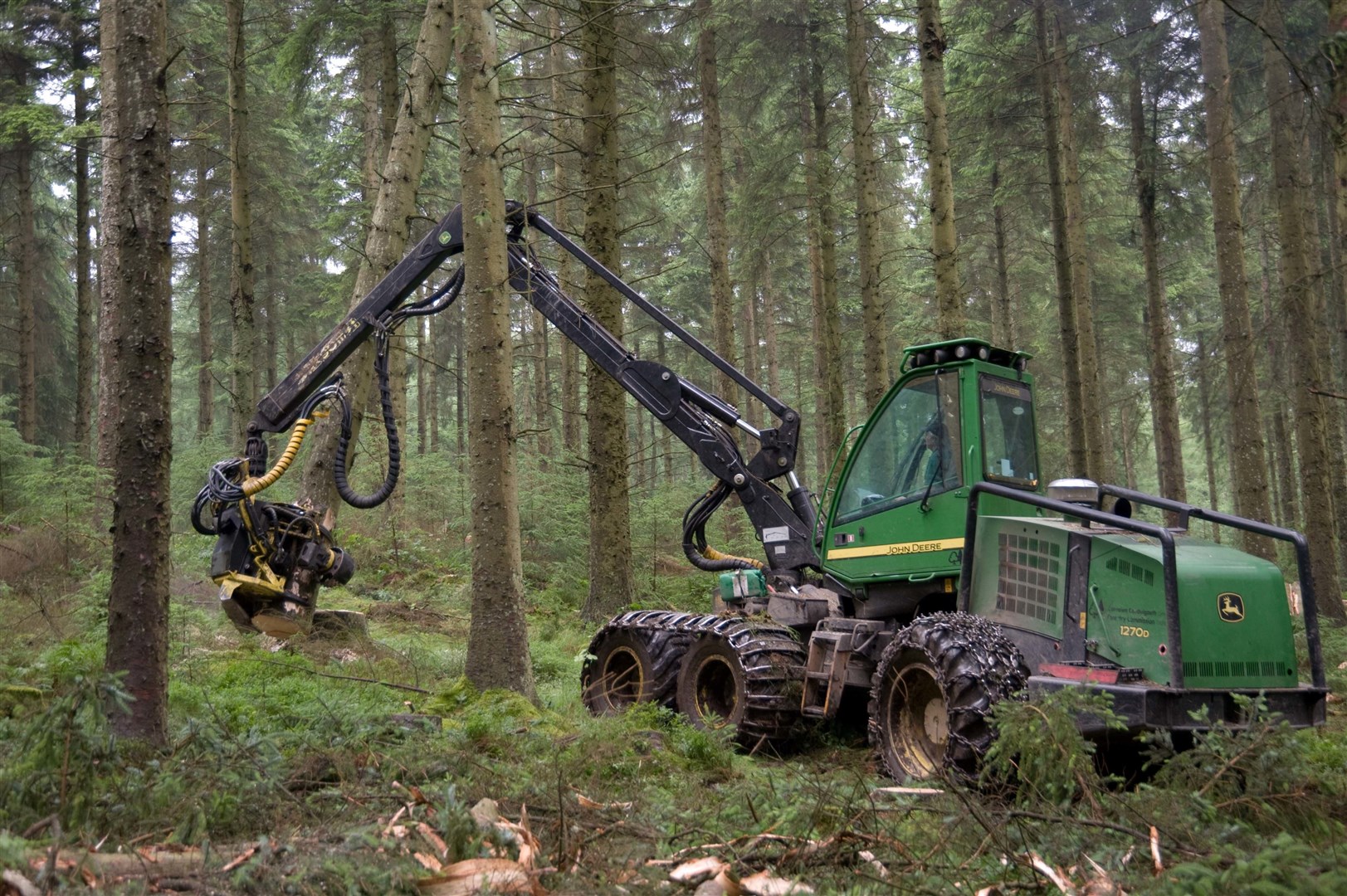 The new intiative is expected to boost employment opportunities in forestry. Picture: www.forestry.gov.uk/pictures