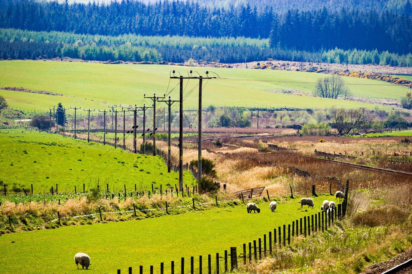 Support is available to connect to the north of Scotland electricity network.