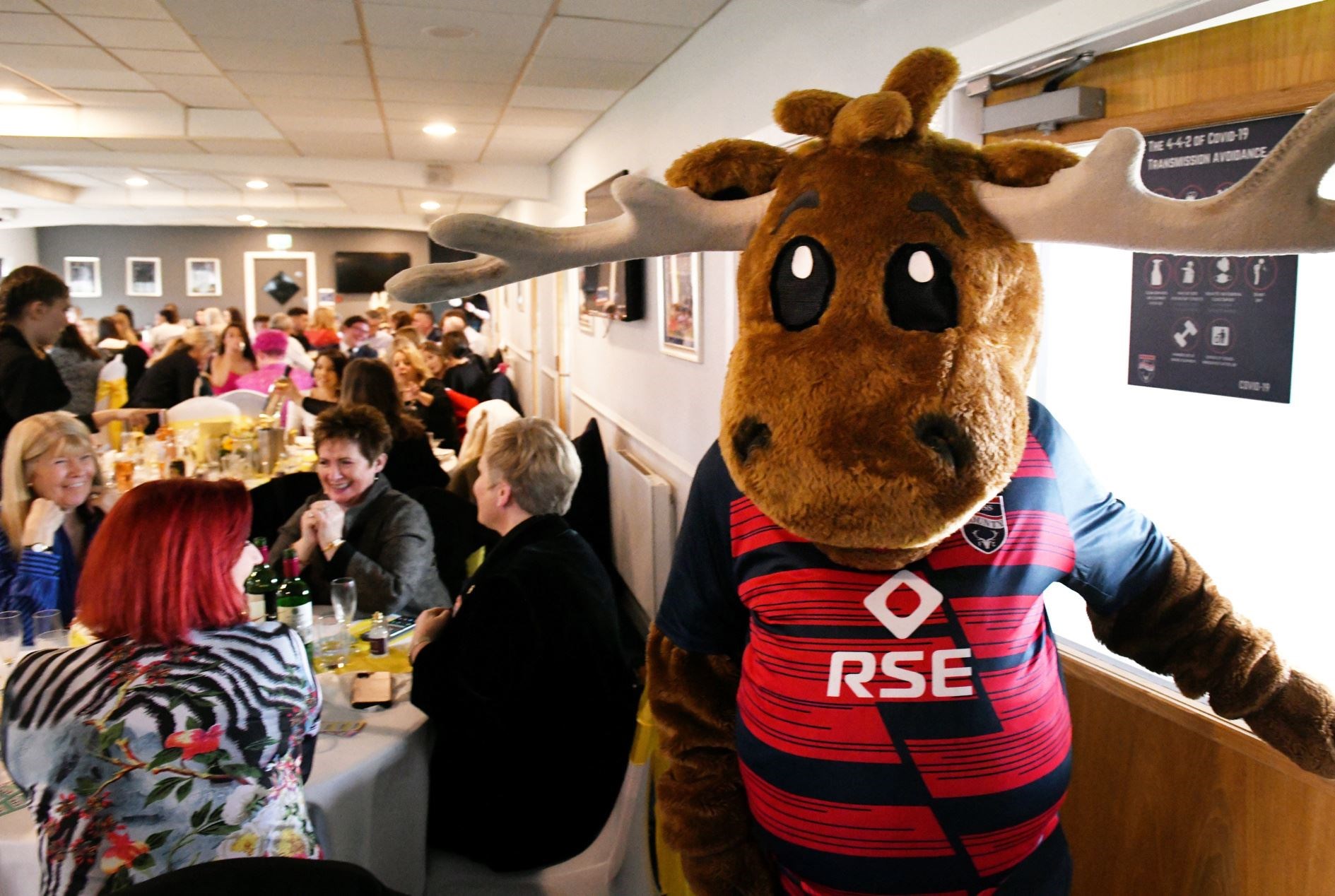 The Staggies' mascot enters the party. Picture: James Mackenzie.