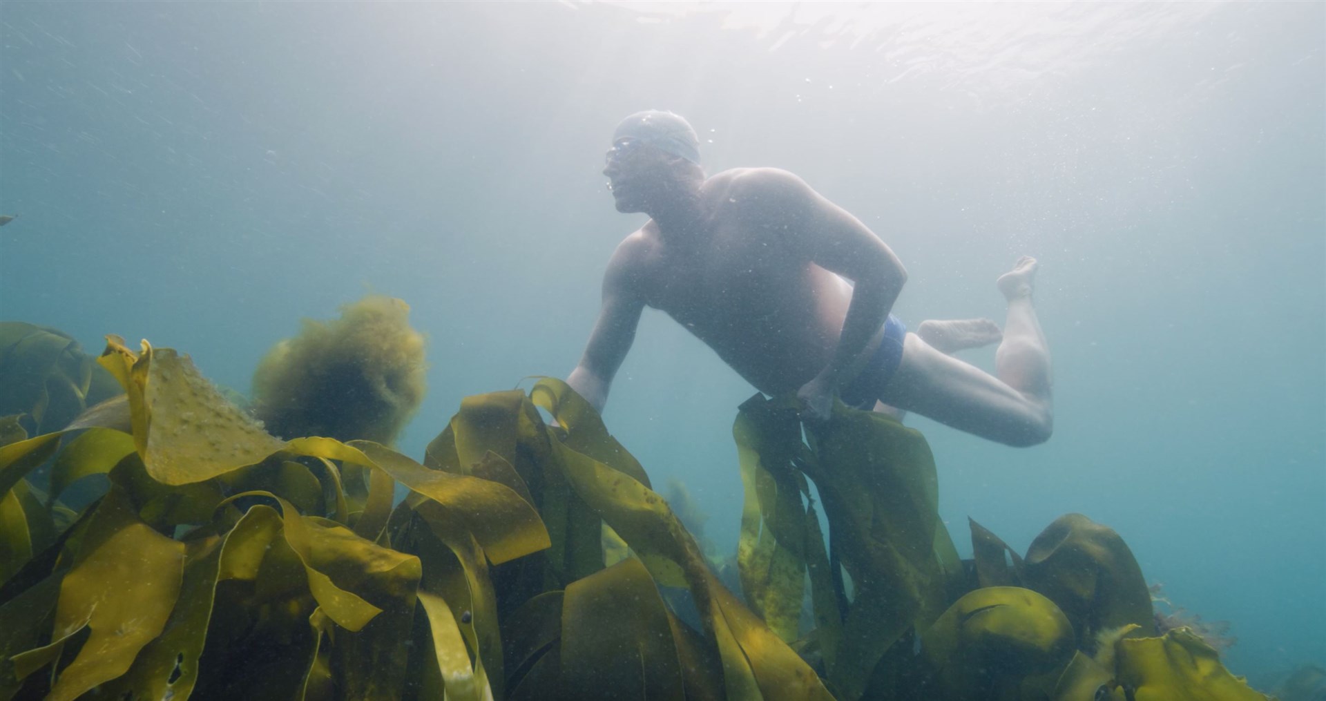 Kelp forests off Plymouth (Lewis Pugh Foundation/PA)