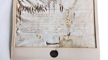 The 500-year-old Papal Bull is at the centre of a crowd funding appeal by Tain Museum.